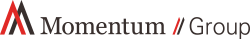 The Momentum Group Logo